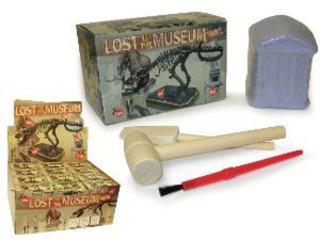 Lost in Museum Excavation Kit image 0